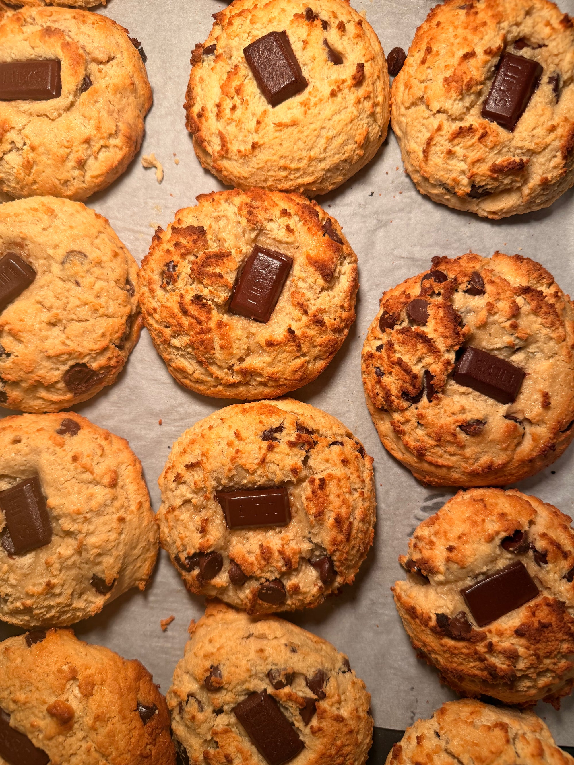 Chocolate Chip