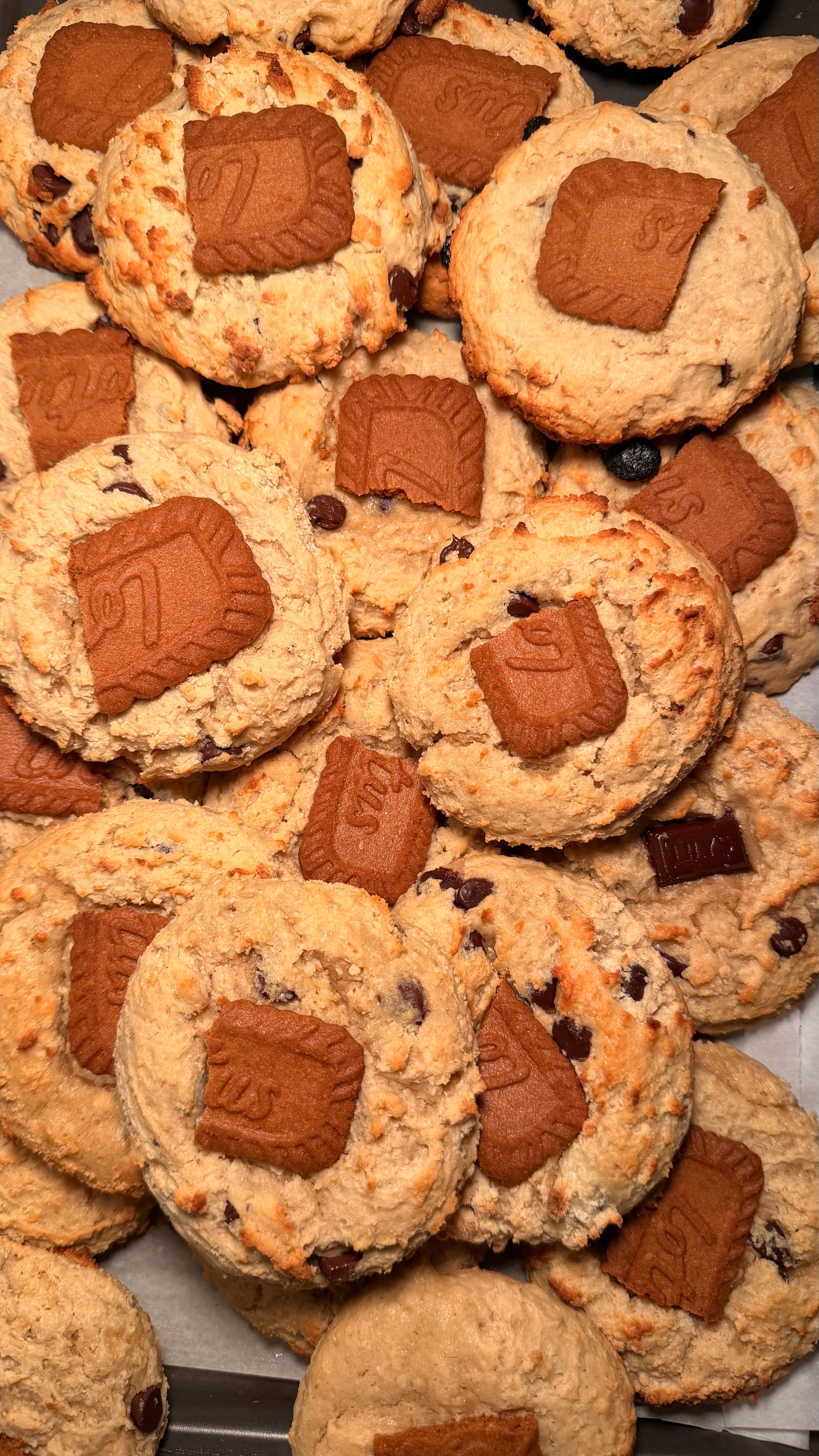 Biscoff