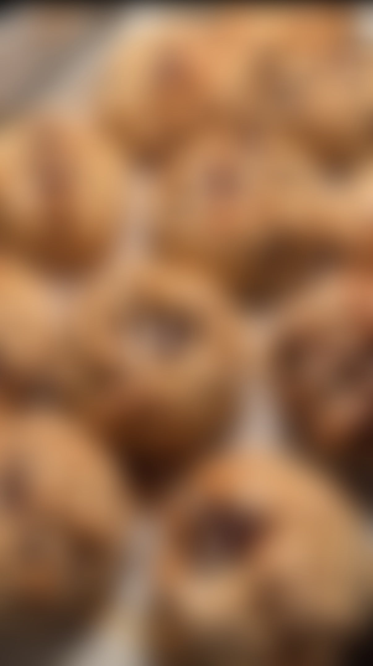 🎁 Scrumz Cookie — On Us (100% off)
